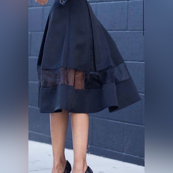 DONATED! Express High Waisted Inset Pleated Skirt - Picture 5 of 11